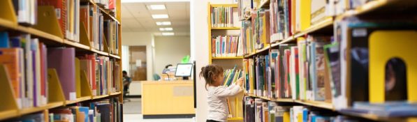 Praesent sit amet maximus sem. Nunc luctus vulputate nulla vel efficitur. Nunc pellentesque, felis a volutpat eleifend